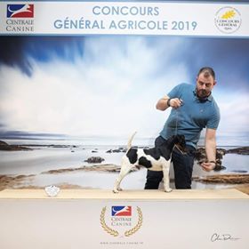 Fox Rebell - médaille d'argent salon de l'agriculture 2019 