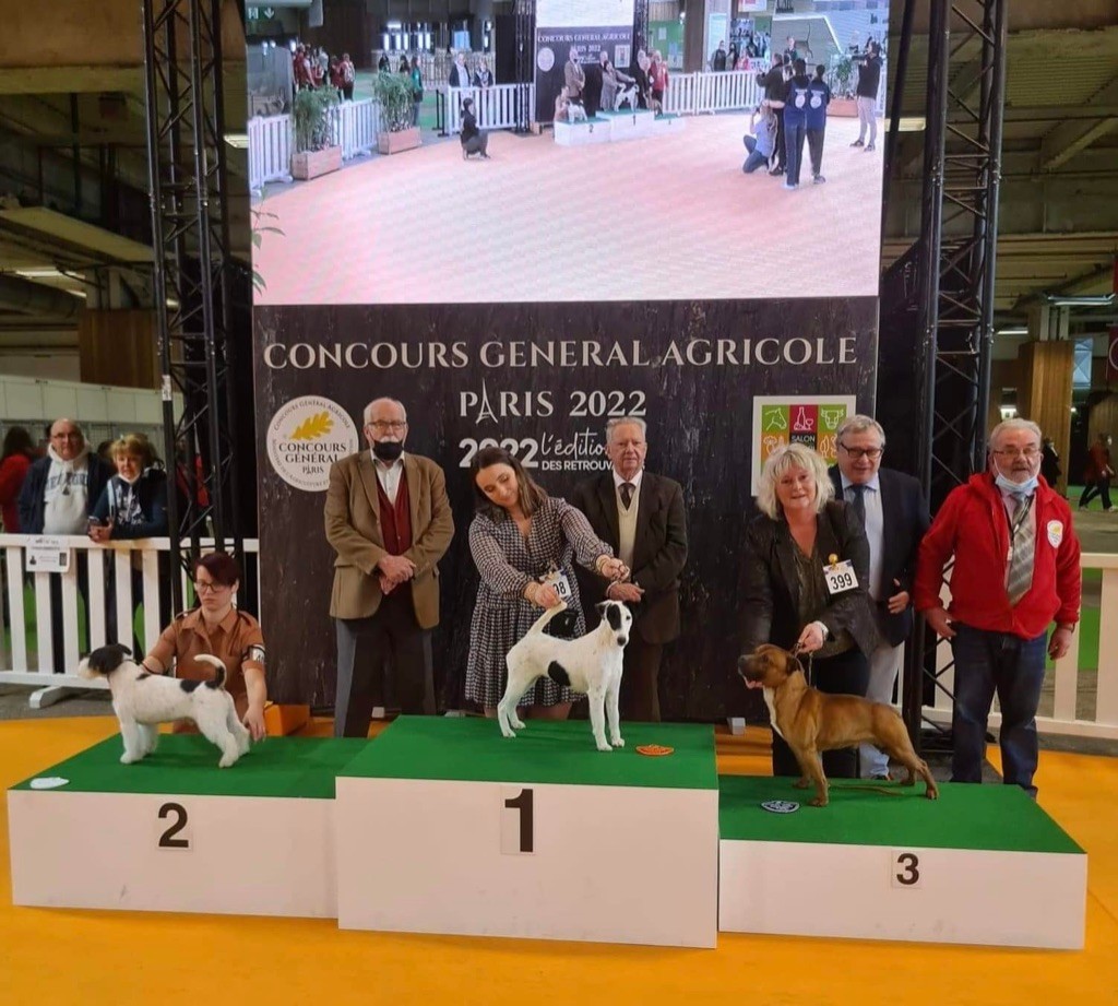 Fox Rebell - Concours General Agricole 2022 