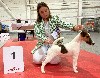  - International Dog Show Metz 