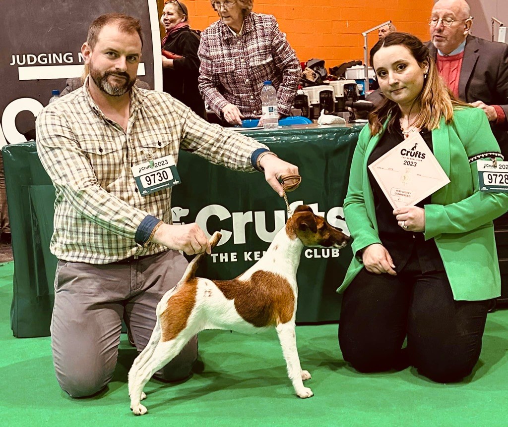 Fox Rebell - CRUFTS la plus grosse exposition anglaise 