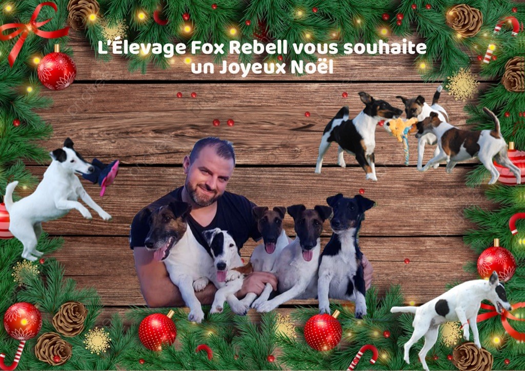 Fox Rebell - JOYEUX NOËL 