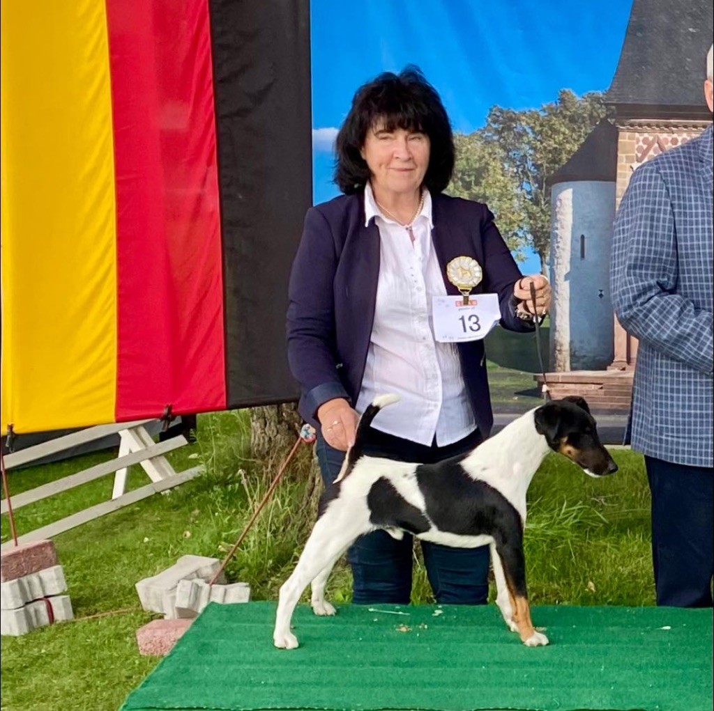 Fox Rebell - speciale LORSCH ALLEMAGNE