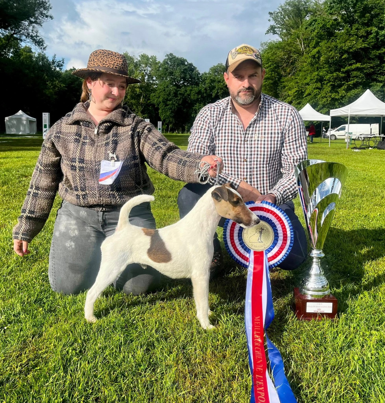 TIM BEST IN SHOW