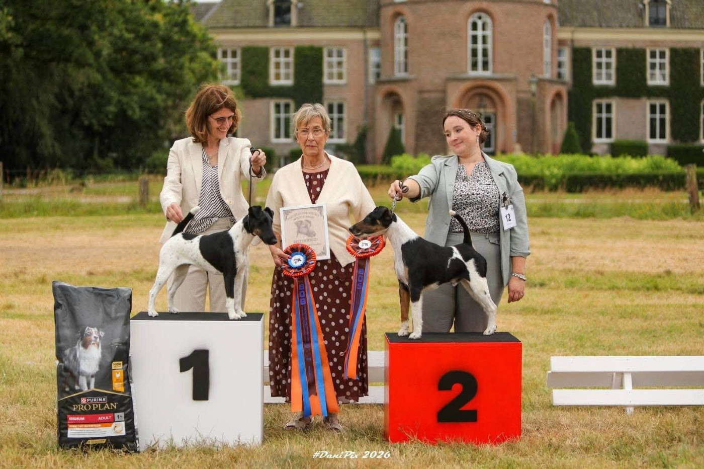 Fox Rebell - EUROPEAN FOX TERRIER WINNER SHOW 2026