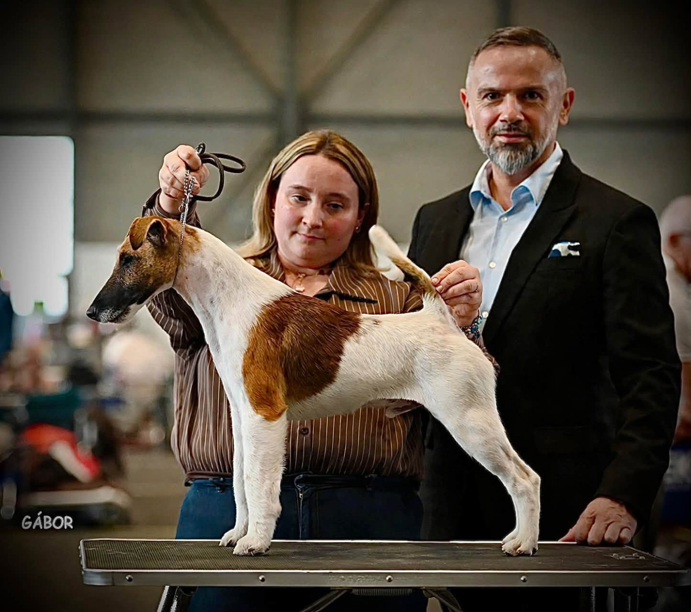 Fox Rebell - DOG SHOW GENEVE