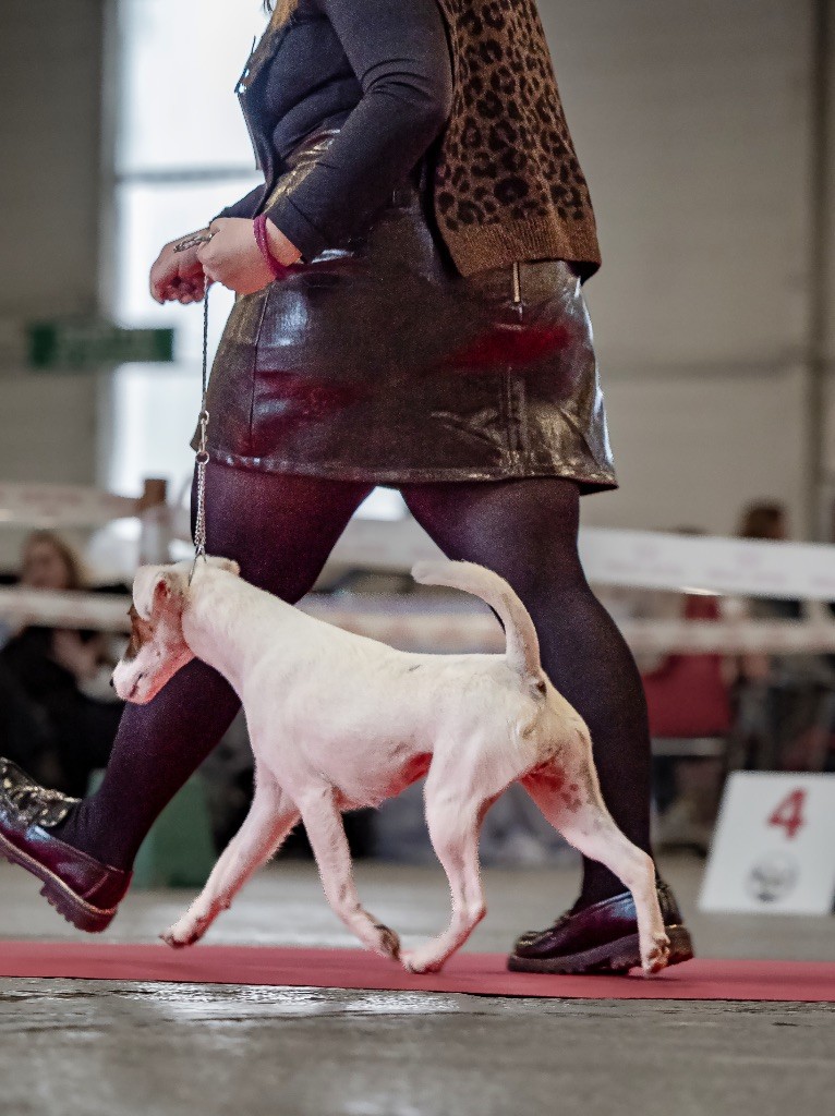 speciale de race Metz 