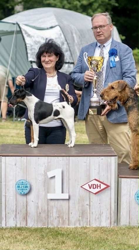 German Winner in Gelsenkirchen