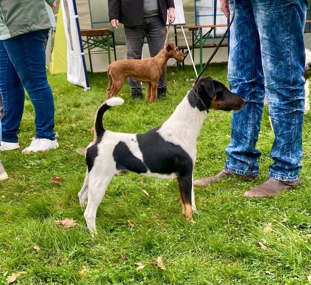 Fox Rebell -  nice and successful weekend in Weidensdorf