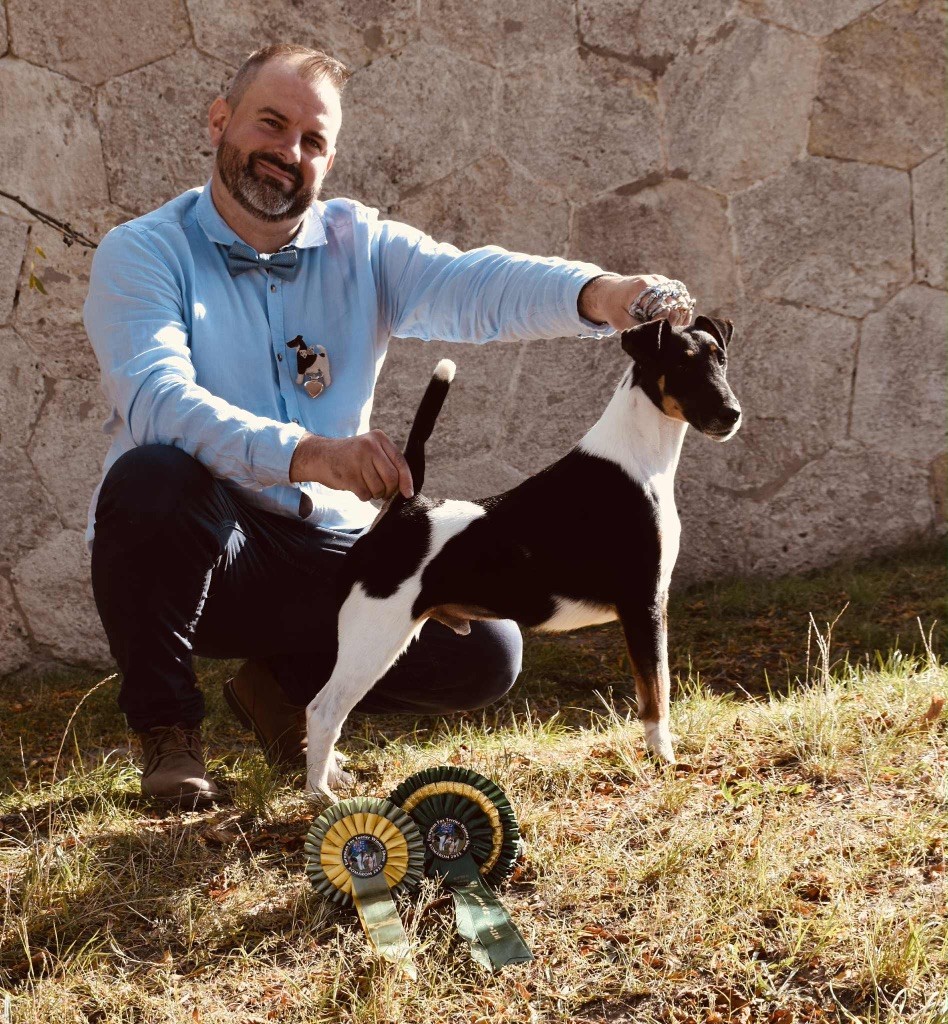 EUROPEAN FOX TERRIER WINNER SHOW 2025