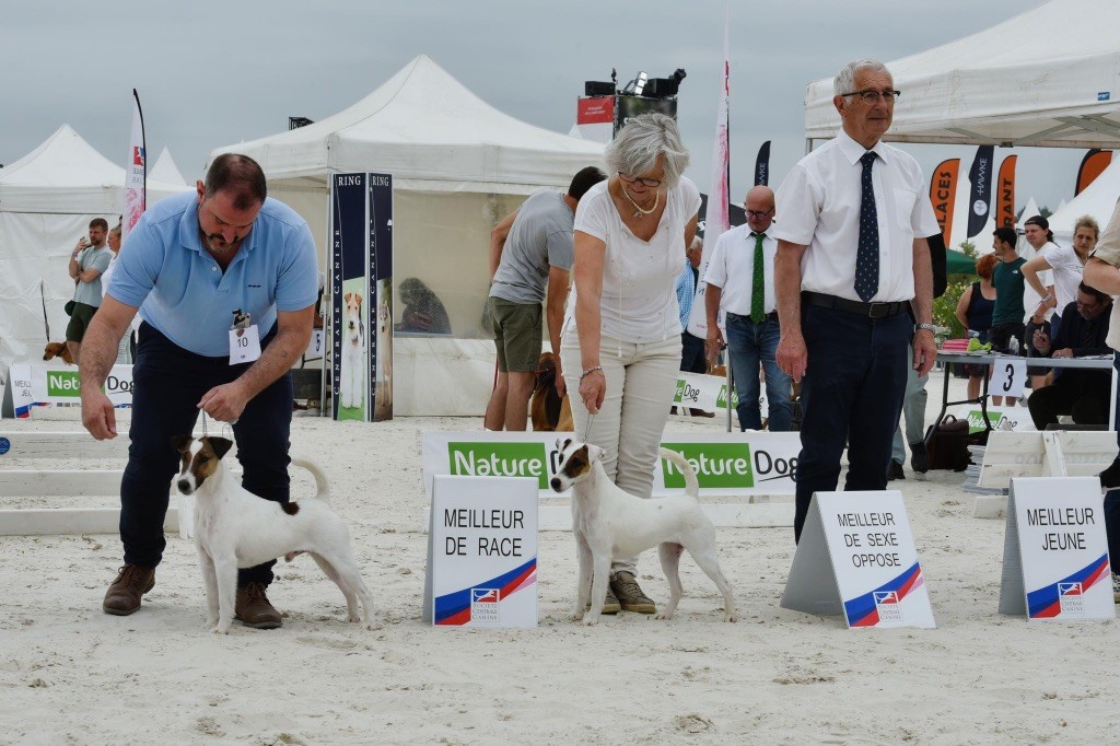 GAME FAIR 2025 